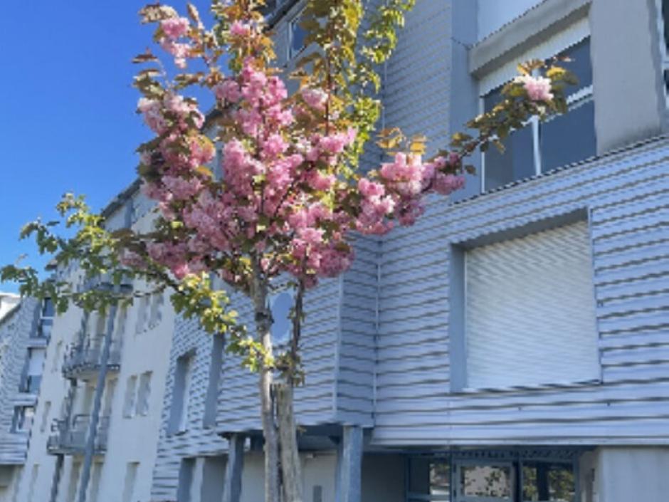 Ac3- location appartement 
rennes
 1788305418